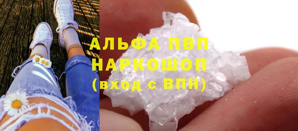 трава Магас