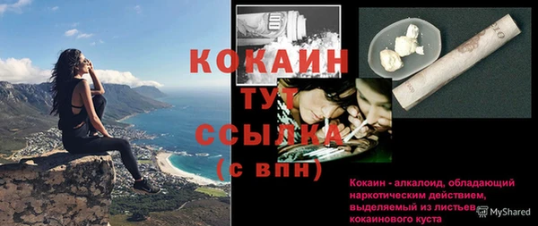 трава Магас