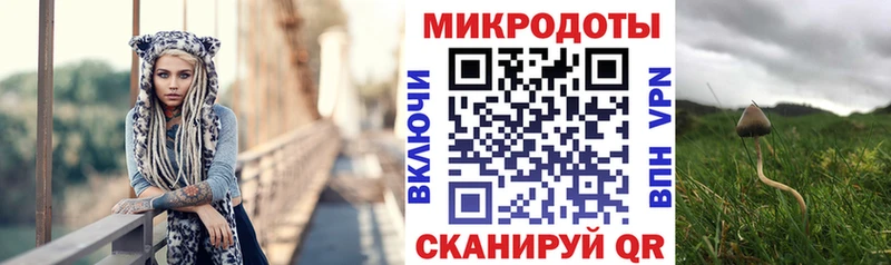 Купить закладки  Анадырь  Галлюциногенные грибы GOLDEN TEACHER 