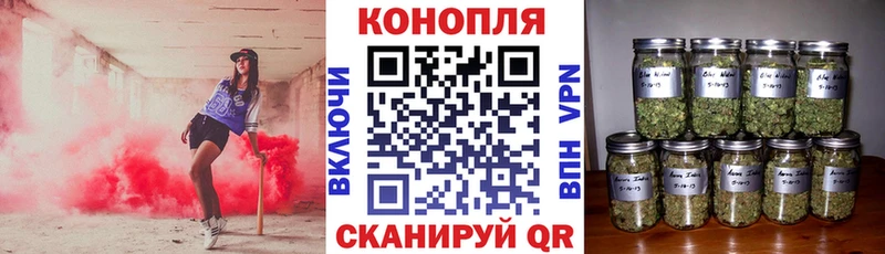 Купить закладки  Анадырь  МАРИХУАНА VHQ 